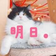 ヒメ日記 2025/04/08 22:25 投稿 ひなた 人妻倶楽部内緒の関係 春日部店