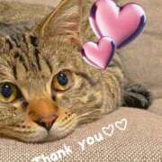 ヒメ日記 2025/02/19 21:53 投稿 まゆ 秘密の出張部屋