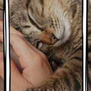 ヒメ日記 2025/04/13 11:03 投稿 まゆ 秘密の出張部屋