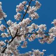 ヒメ日記 2025/04/21 21:43 投稿 まゆ 秘密の出張部屋