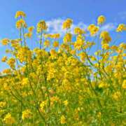 ヒメ日記 2025/05/07 22:33 投稿 まゆ 秘密の出張部屋