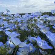 ヒメ日記 2025/05/28 00:03 投稿 まゆ 秘密の出張部屋