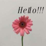 ヒメ日記 2025/06/05 14:43 投稿 まゆ 秘密の出張部屋