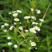 ヒメ日記 2025/07/08 12:13 投稿 まゆ 秘密の出張部屋