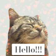 ヒメ日記 2025/08/20 05:03 投稿 まゆ 秘密の出張部屋