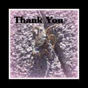 ヒメ日記 2025/10/01 20:23 投稿 まゆ 秘密の出張部屋