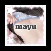 ヒメ日記 2025/10/03 08:33 投稿 まゆ 秘密の出張部屋