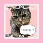 ヒメ日記 2026/01/08 06:53 投稿 まゆ 秘密の出張部屋