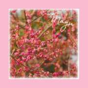 ヒメ日記 2026/03/16 18:03 投稿 まゆ 秘密の出張部屋