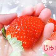 ヒメ日記 2025/02/19 08:11 投稿 じゅん エンジェルシリカ