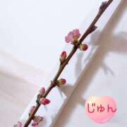 ヒメ日記 2025/02/26 08:41 投稿 じゅん エンジェルシリカ