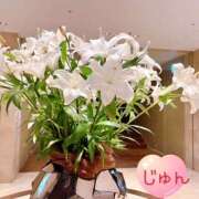 ヒメ日記 2025/03/11 11:01 投稿 じゅん エンジェルシリカ