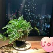 ヒメ日記 2025/03/13 10:49 投稿 じゅん エンジェルシリカ