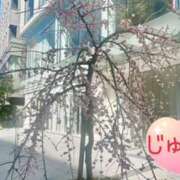 ヒメ日記 2025/03/21 12:34 投稿 じゅん エンジェルシリカ