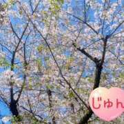 ヒメ日記 2025/04/10 08:36 投稿 じゅん エンジェルシリカ