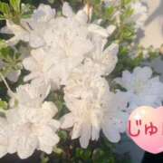 ヒメ日記 2025/04/20 09:39 投稿 じゅん エンジェルシリカ