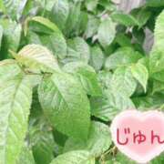 ヒメ日記 2025/05/11 12:10 投稿 じゅん エンジェルシリカ