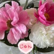 ヒメ日記 2025/05/24 11:53 投稿 じゅん エンジェルシリカ