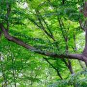 ヒメ日記 2025/06/02 08:17 投稿 じゅん エンジェルシリカ