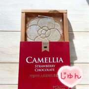 ヒメ日記 2025/07/31 09:03 投稿 じゅん エンジェルシリカ