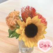 ヒメ日記 2025/09/15 08:01 投稿 じゅん エンジェルシリカ