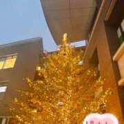 ヒメ日記 2025/11/19 08:05 投稿 じゅん エンジェルシリカ