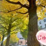 ヒメ日記 2025/11/25 07:55 投稿 じゅん エンジェルシリカ