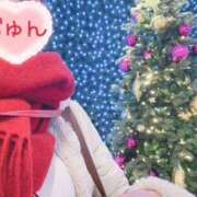 ヒメ日記 2025/12/04 07:55 投稿 じゅん エンジェルシリカ