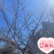 じゅん ※無題 エンジェルシリカ