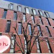 ヒメ日記 2026/03/26 16:07 投稿 じゅん エンジェルシリカ