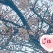 ヒメ日記 2026/03/28 11:30 投稿 じゅん エンジェルシリカ