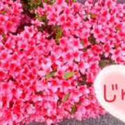 ヒメ日記 2026/05/13 11:10 投稿 じゅん エンジェルシリカ