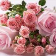 ヒメ日記 2025/01/19 23:04 投稿 くらら 京都ホテヘル倶楽部