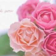 ヒメ日記 2025/09/08 21:51 投稿 くらら 京都ホテヘル倶楽部