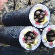 ヒメ日記 2026/02/03 14:39 投稿 くらら 京都ホテヘル倶楽部