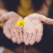 ヒメ日記 2024/12/31 20:30 投稿 くらら 京都人妻デリヘル倶楽部