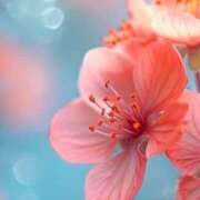 ヒメ日記 2024/12/19 14:25 投稿 ゆきな ハピネス東京