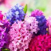 ヒメ日記 2024/12/23 15:39 投稿 ゆきな ハピネス東京