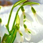 ヒメ日記 2025/01/01 22:31 投稿 ゆきな ハピネス東京