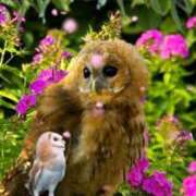 ヒメ日記 2025/02/16 00:18 投稿 みさえ 熟女の風俗最終章 八王子店