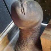 ヒメ日記 2025/02/18 22:43 投稿 みさえ 熟女の風俗最終章 八王子店