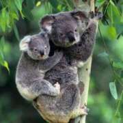 ヒメ日記 2025/03/10 23:13 投稿 みさえ 熟女の風俗最終章 八王子店