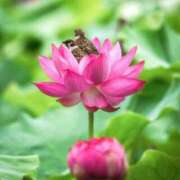 ヒメ日記 2025/03/19 23:43 投稿 みさえ 熟女の風俗最終章 八王子店