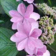 ヒメ日記 2025/06/08 20:58 投稿 みさえ 熟女の風俗最終章 八王子店