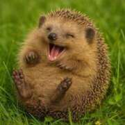 ヒメ日記 2025/09/28 21:23 投稿 みさえ 熟女の風俗最終章 八王子店