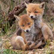 ヒメ日記 2025/09/29 18:53 投稿 みさえ 熟女の風俗最終章 八王子店