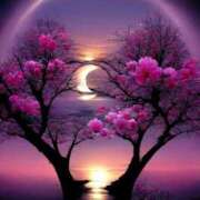 ヒメ日記 2026/02/07 23:13 投稿 みさえ 熟女の風俗最終章 八王子店