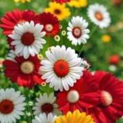 ヒメ日記 2026/03/20 20:23 投稿 みさえ 熟女の風俗最終章 八王子店