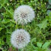 ヒメ日記 2026/04/20 00:53 投稿 みさえ 熟女の風俗最終章 八王子店