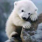 ヒメ日記 2024/12/21 01:03 投稿 みさえ 熟女の風俗最終章 所沢店